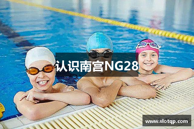 认识南宫NG28